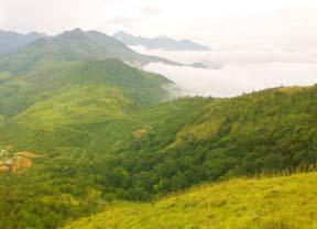 Ponmudi Hills