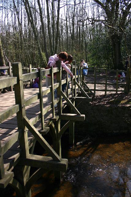 Playing 'pooh sticks' at Pooh Sticks Bridge near Hartfield