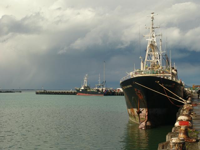 Port of Timaru