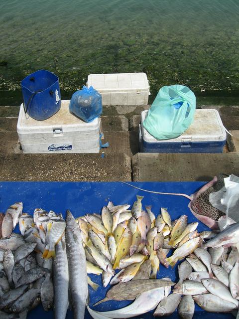 Informal fish market along the Corniche