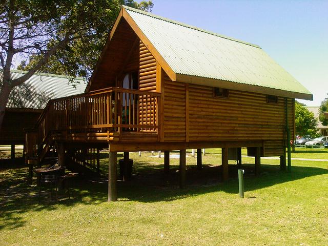 Forest cabins