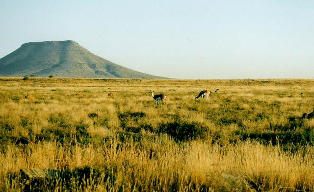 A typical Northern Cape scene