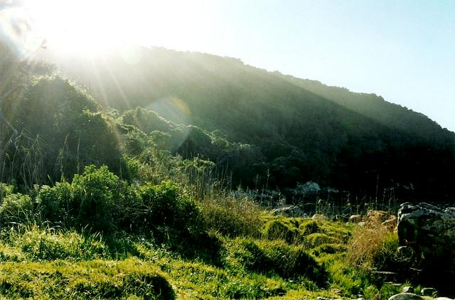 Beautiful nature in the Tsitsikamma NP.