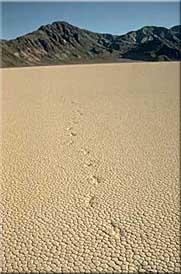 Racetrack Playa