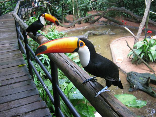 Parque das Aves