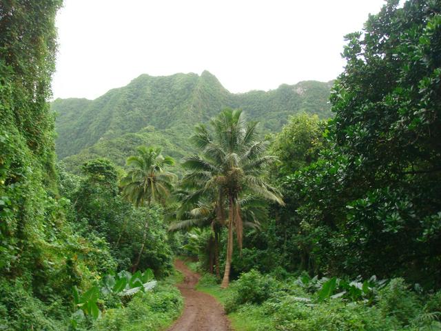 Off the perimeter road, the terrain is rough