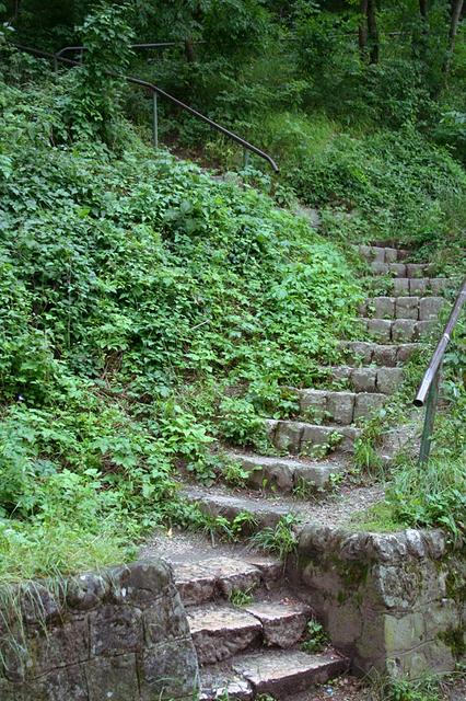 The foot way to the old fortress, Râșnov. 