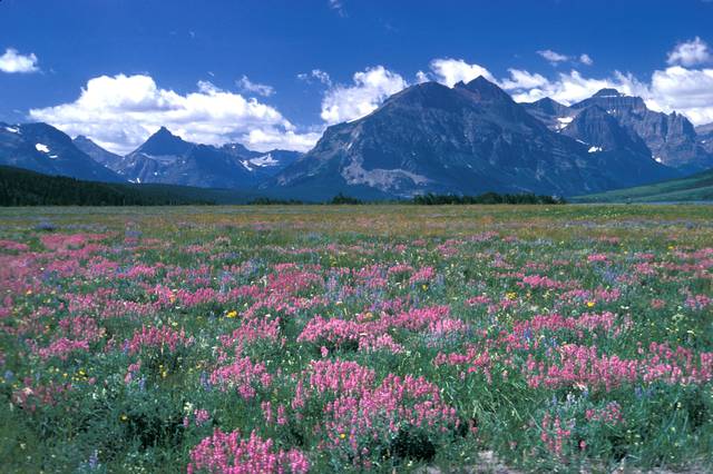 View of Red Eagle Mountain