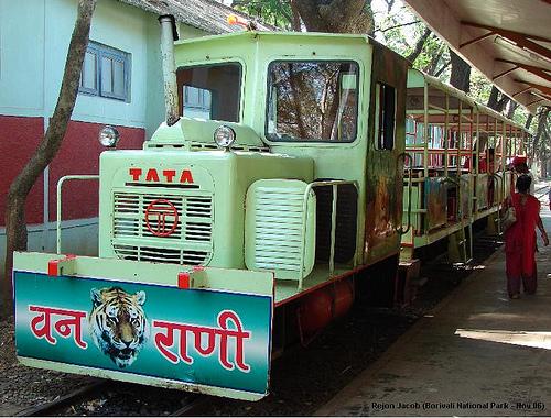 Narrow gauge train