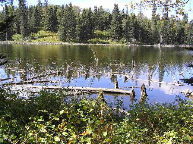 Riding Mountain National Park Back Country