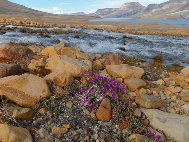 River Beauty and Ekblaw Lake