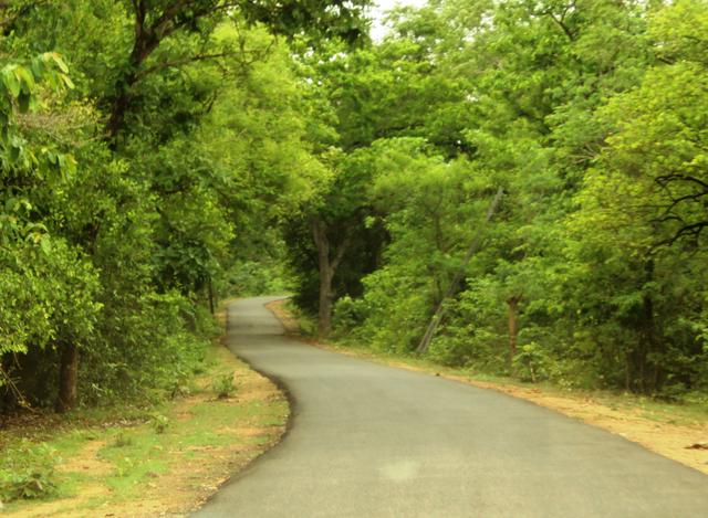 Road to Maredumilli from Chintoor, near Bhadrachalam