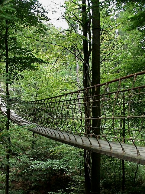 Swing bridge on the Rothaarsteig