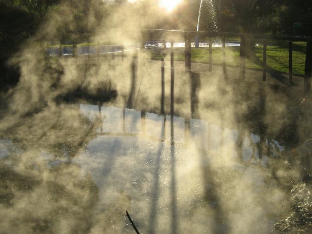 Hot pool in Rotorua