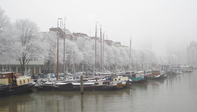 Winters in Rotterdam are moist and can be freezingly cold, but just as well uniquely beautiful