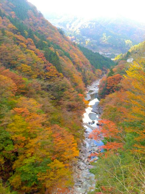 Autumn leaves in Ryugugake Park
