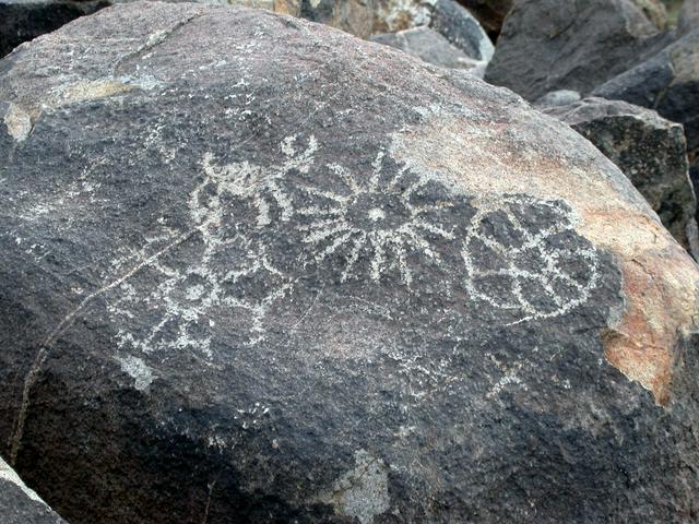 Hohokam petroglyphs at Saguaro West