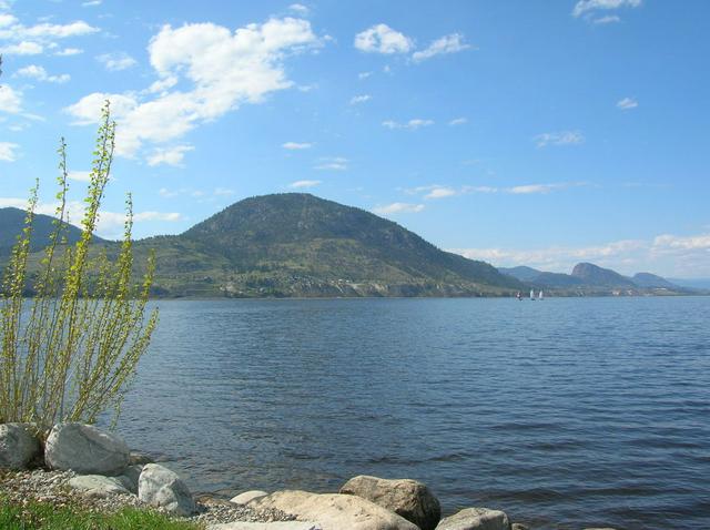 Sailboats on Okanagan Lake