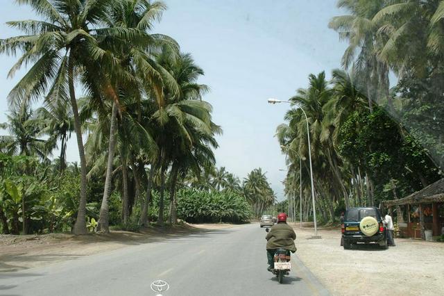 There are many roadside stands selling fresh fruit juice and coconuts.