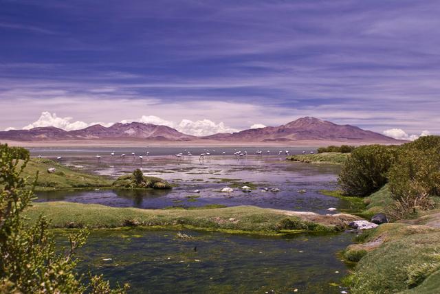 Salar de Tara