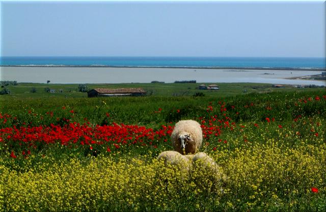 Salt Lake Lemnos Spring