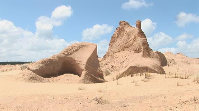 Sculptures on top of sand dune, forming the northern part of the Hokianga Heads 