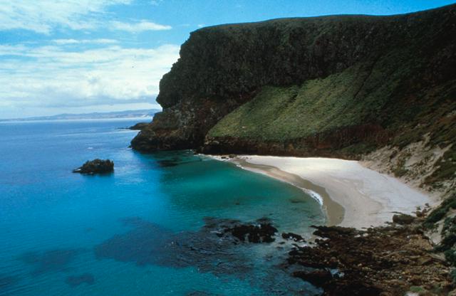 Cliffs, at San Miguel Island