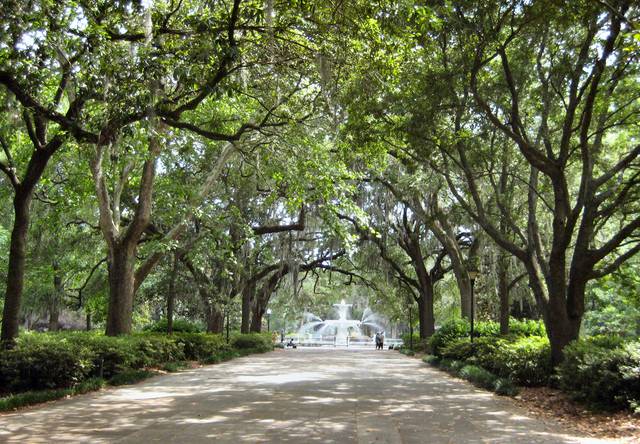 Forsyth Park with the oak trees and Spanish moss that typify Savannah