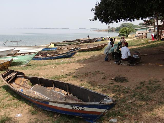 Shore of Lake Victoria