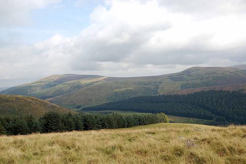 The Schil, next to Cheviot Hill, access from the College Valley.