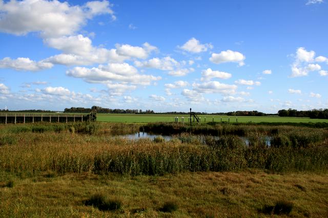 Schokland landscape