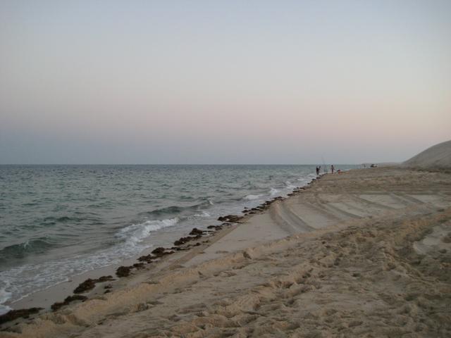 Shoreline near Sealine Beach Resort