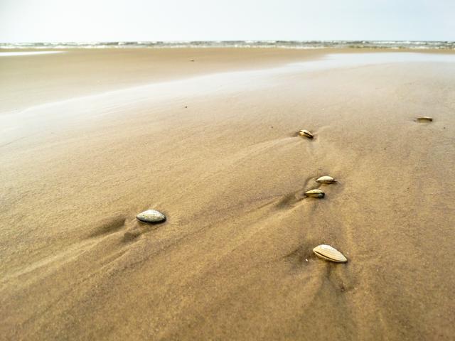 Beach in Jurmala