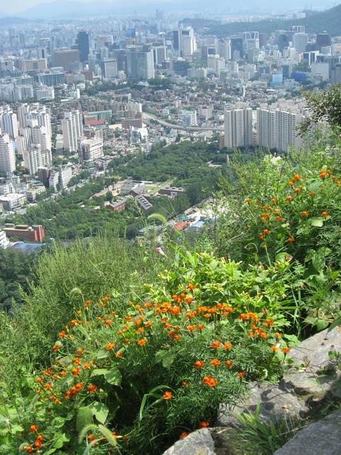 A view of Seoul from Ansan
