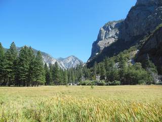 Sequoia National Park