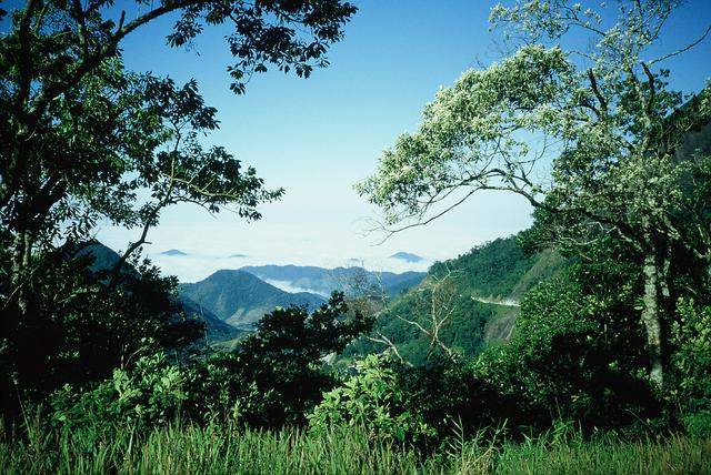 Serra da Bocaina