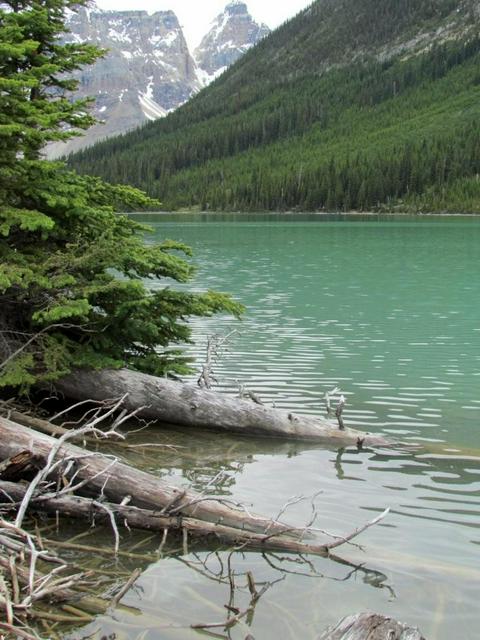 Sherbrooke Lake in Yoho National Park