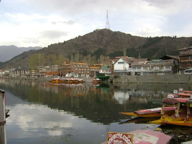 Shikaras in Dal Lake