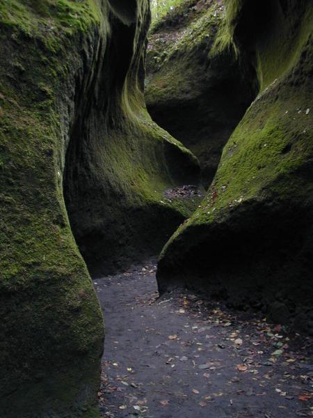 Inside the Moss Canyon