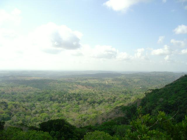 Shimba Hill