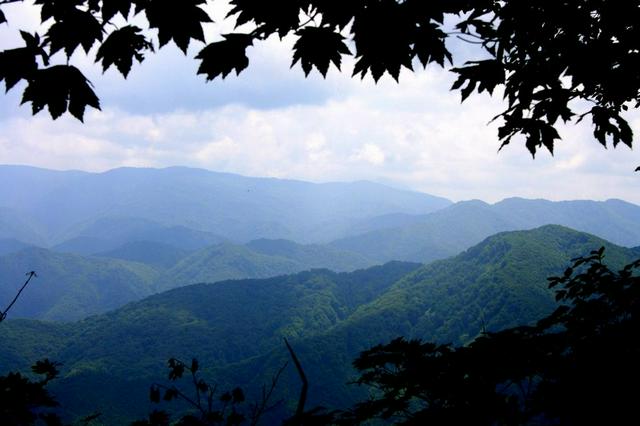 Shirakami Sanchi - view from the "mountain ridge" trail