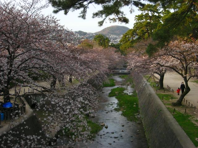 Along the Shukugawa River during hanami season.