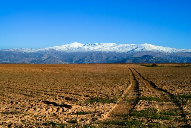 Sierra Nevada