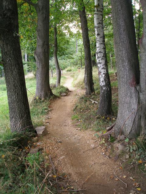 "Singltrek pod Smrkem" mountain bike track