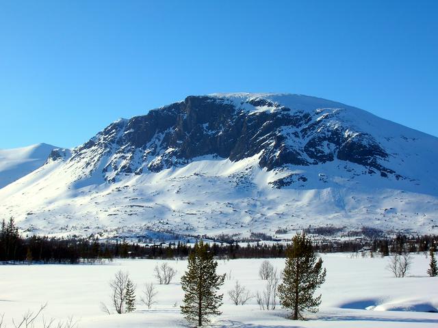 Skogshorn, in the municipality of Hemsedal.