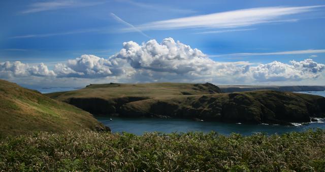 The Neck, Skomer