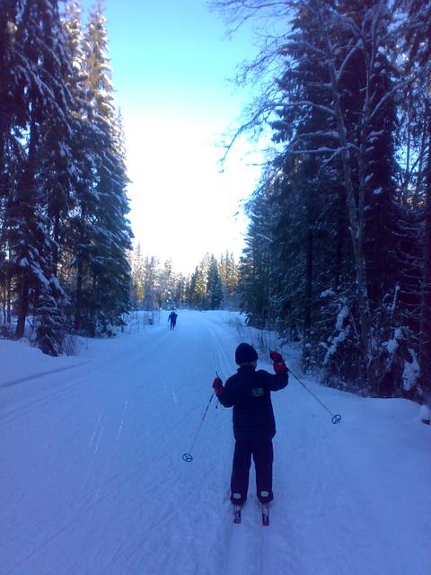 Groomed cross country tracks in the Oslo forest