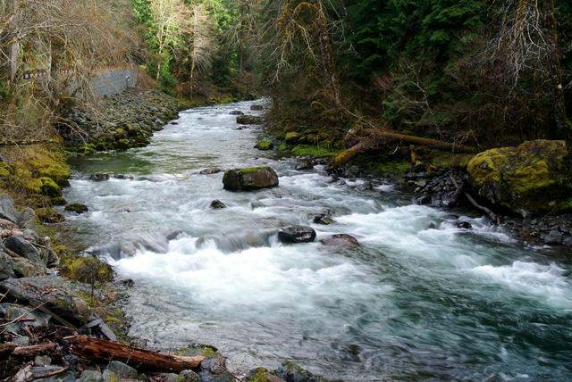 Sol Duc River