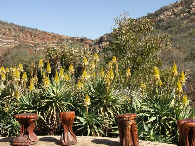 Have a seat and relax at the Walter Sisulu Botanical Gardens