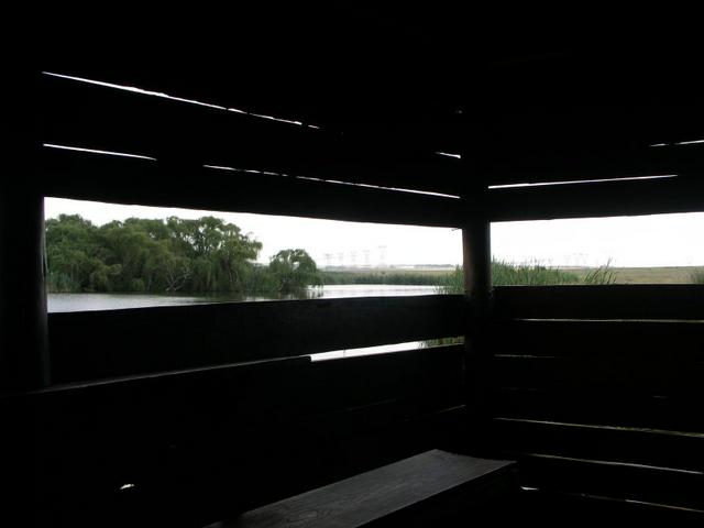 From the bird hide at the picnic area